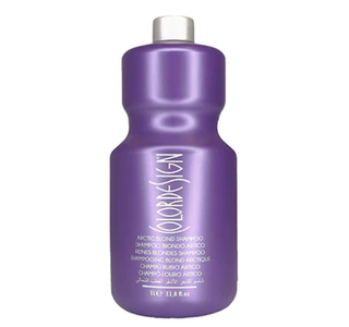 Color Artic Purple Shampoo
