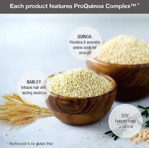 Abba Preserving Blow Dry Hair Spray (8 oz) Heat Protective Hairspray for Blow Drying